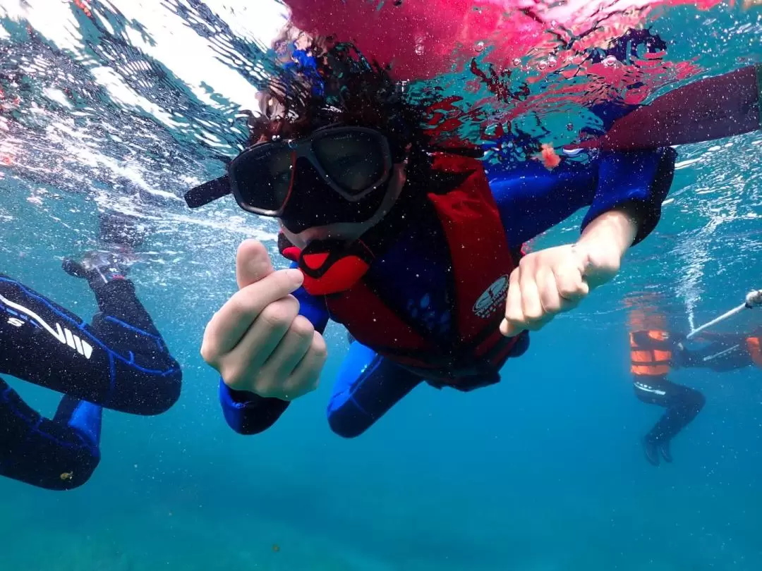 小琉球浮潛｜屏東熊潛水 Bear Diving｜浮潛體驗與海龜共游 (附水下拍攝服務)