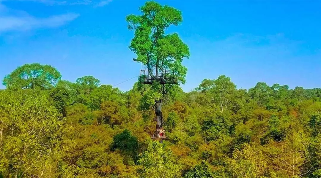 Angkor Zipline