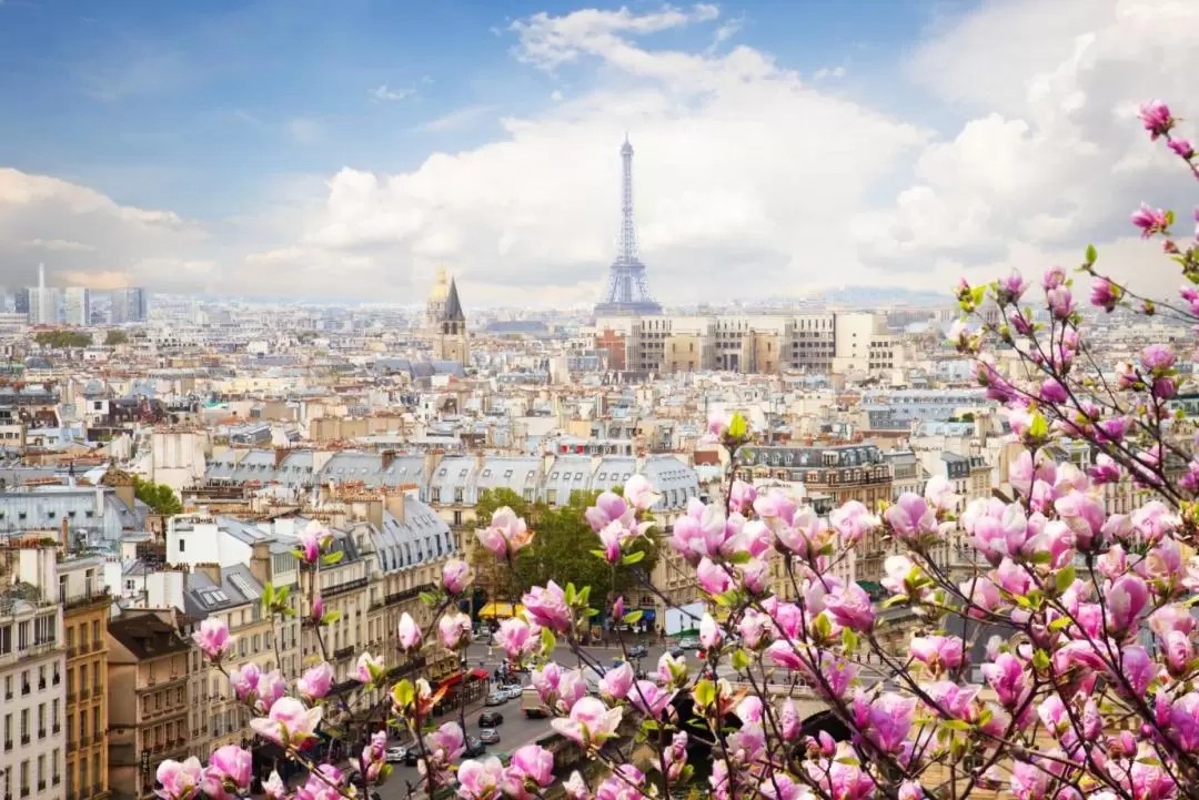 Eiffel Tower Guided Tour in Paris