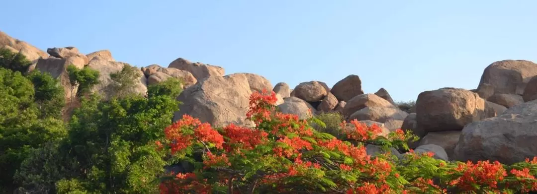 Anthargange 日出登山健行之旅（含洞穴探索）- 邦加羅爾出發