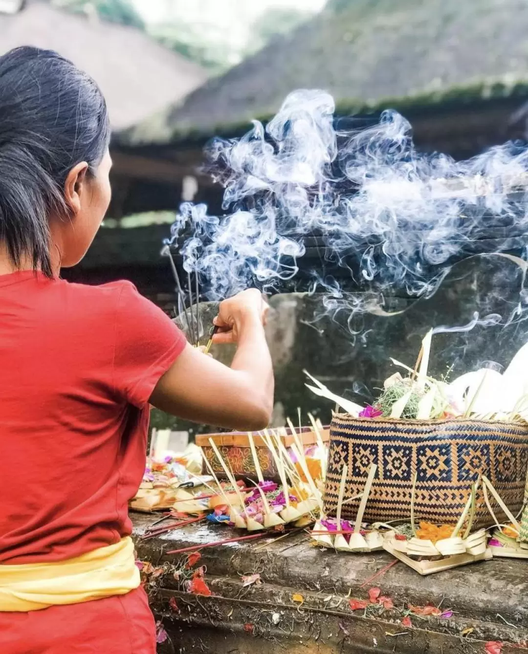 Bali Purification Ritual And Ubud Highlights Day Tour