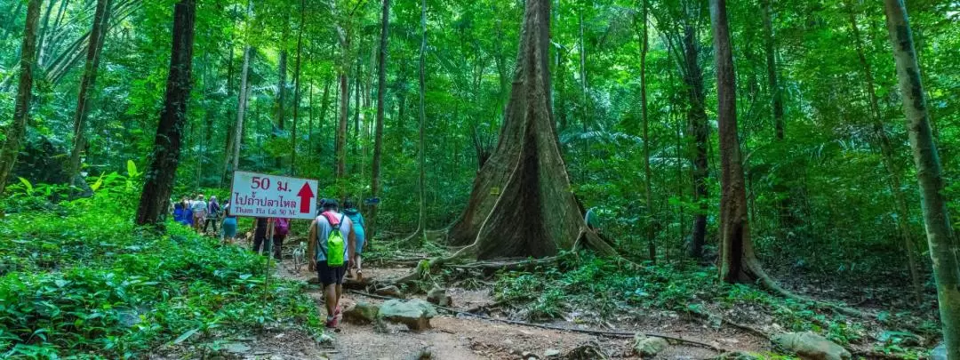 From Krabi: Tiger Cave & Emerald Pool Jungle Tour