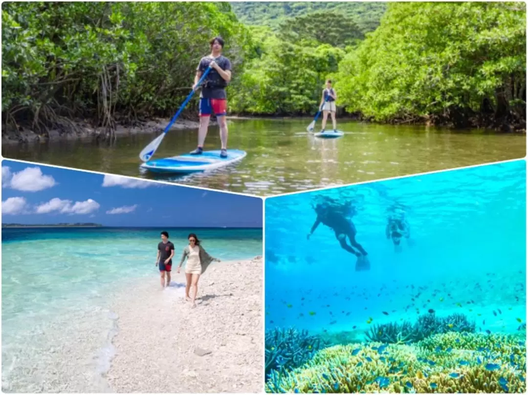 Iriomote Island Snorkeling at Coral Island＋Magrove activity