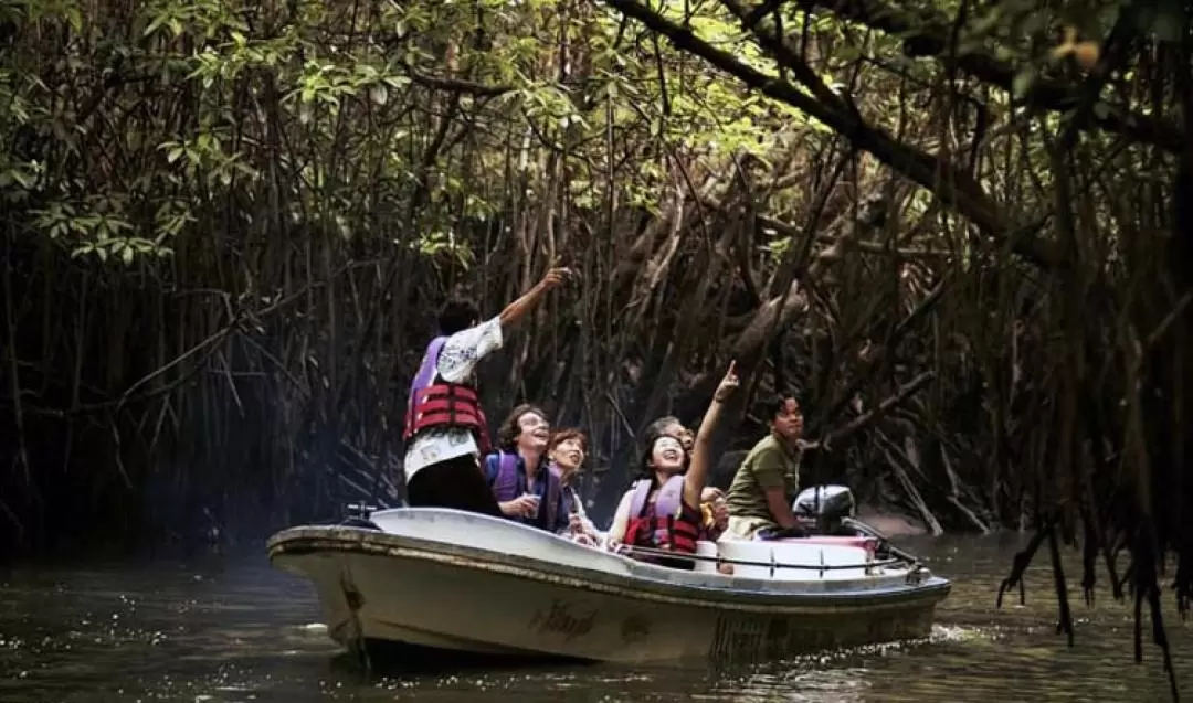 Balapitiya River Safari and Nature Tour from Colombo