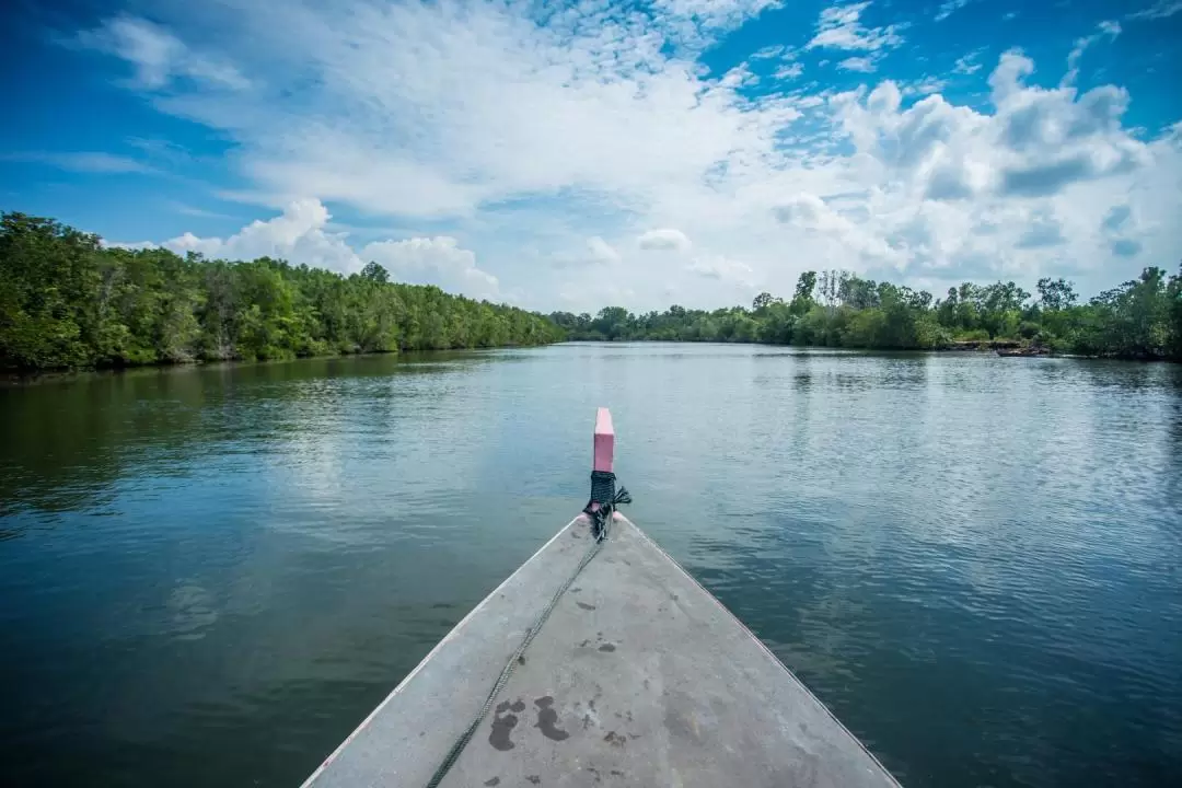 Bintan Mangrove / Fireflies Tour