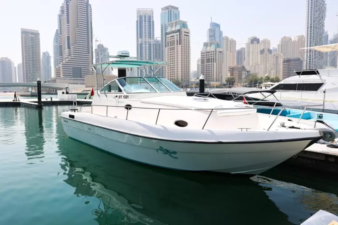 迪拜私人運動艇巡航之旅