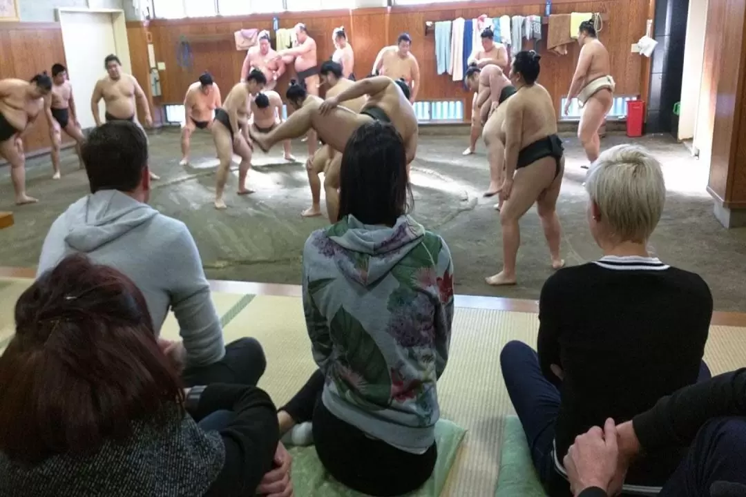 東京相撲晨練參觀體驗