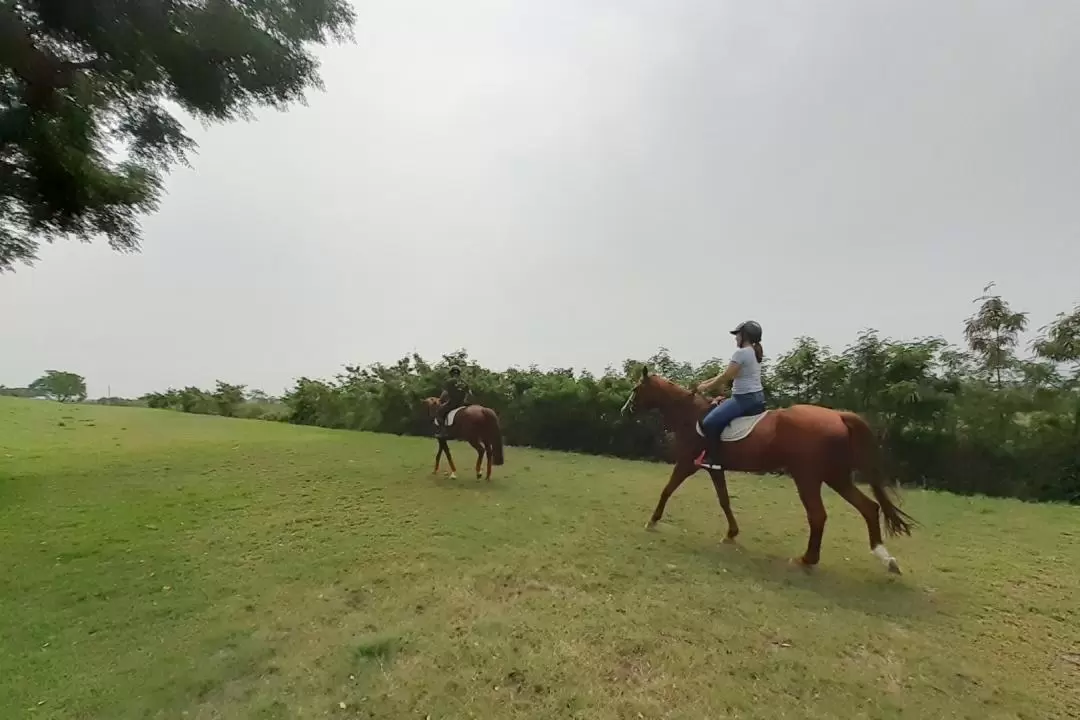 Yilan｜Kamalan Equestrian Stadium｜Horse Riding Experience｜Outdoor River Riding