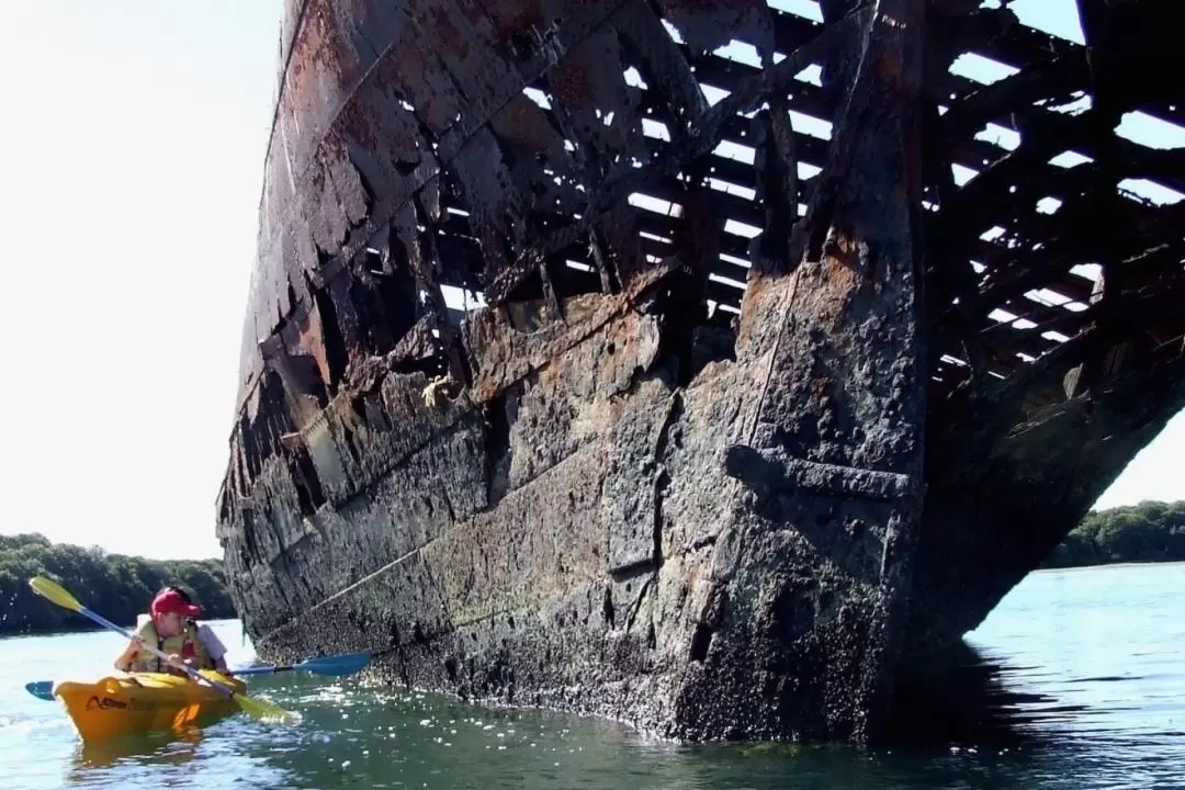 Dolphin Sanctuary and Ships Graveyard Kayak Tour