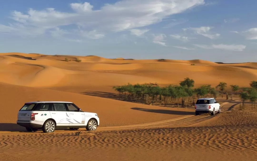 杜拜沙漠保護區探險之旅（Platinum Heritage 提供）