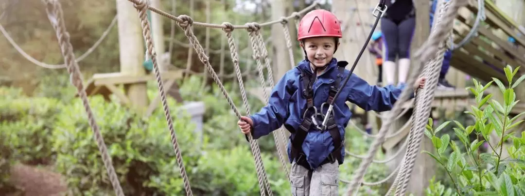 TreeTop Challenge at Mount Tamborine