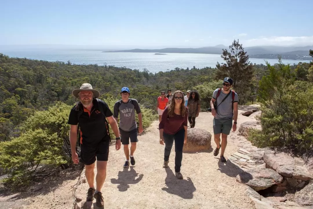 Wineglass Bay and Freycinet National Park Day Trip from Launceston