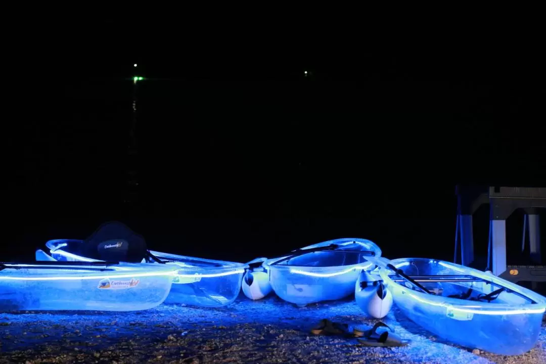 Las Vegas Neon Lights Clear-View Kayak Night Tour on the Colorado River