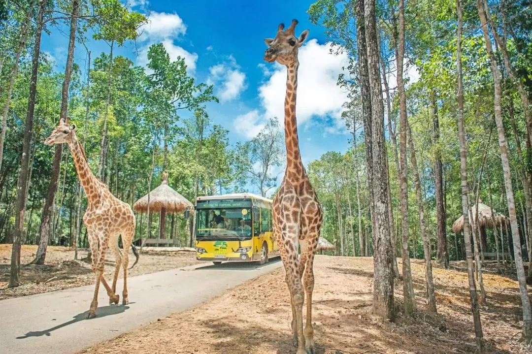 ヴィンパールサファリフーコック 入園チケット