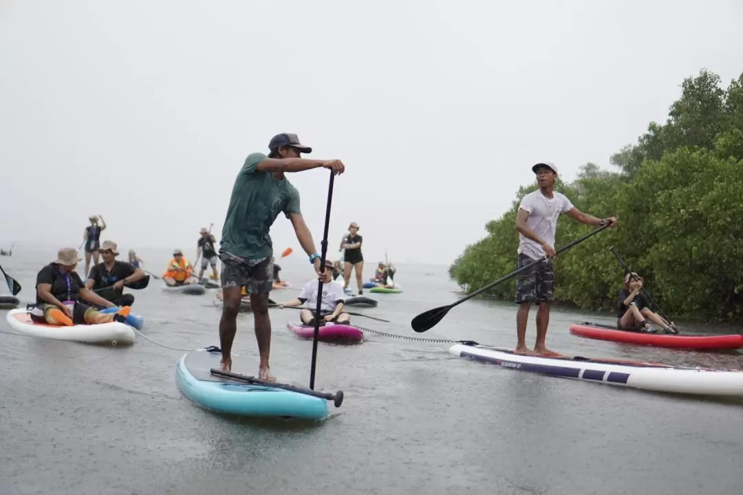 Stand Up Paddle Board Tour in Bali