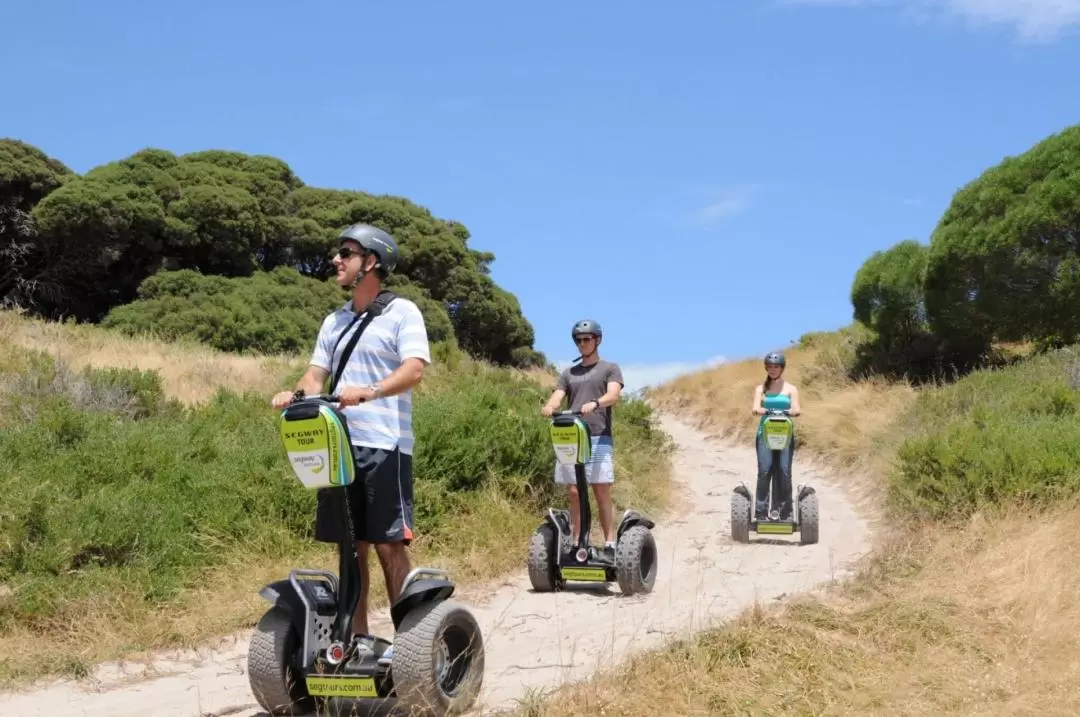 Rottnest Island Segway Guided Tour from Perth