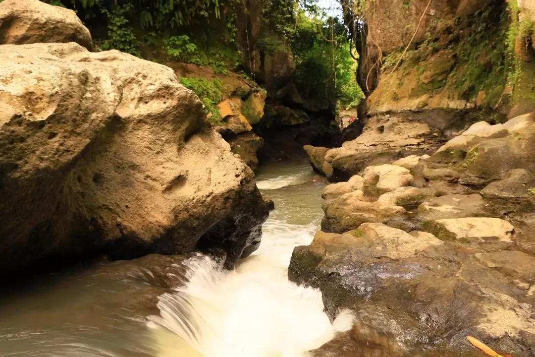 Beji Guwang Hidden Canyon Trekking Experience in Bali