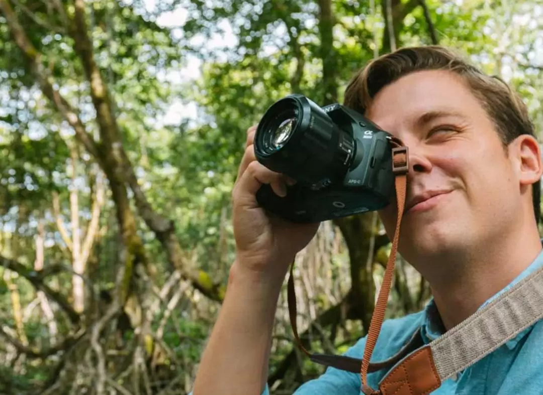 Proboscis Monkey Encounter Tour in Brunei