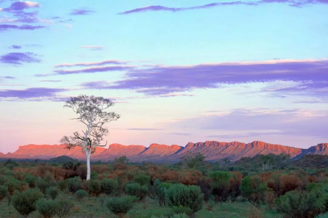 West MacDonnell Ranges Full Day Tour from Alice Springs