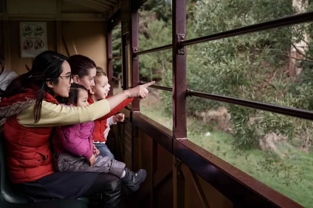 Puffing Billy Railway Ticket or Bus Tour