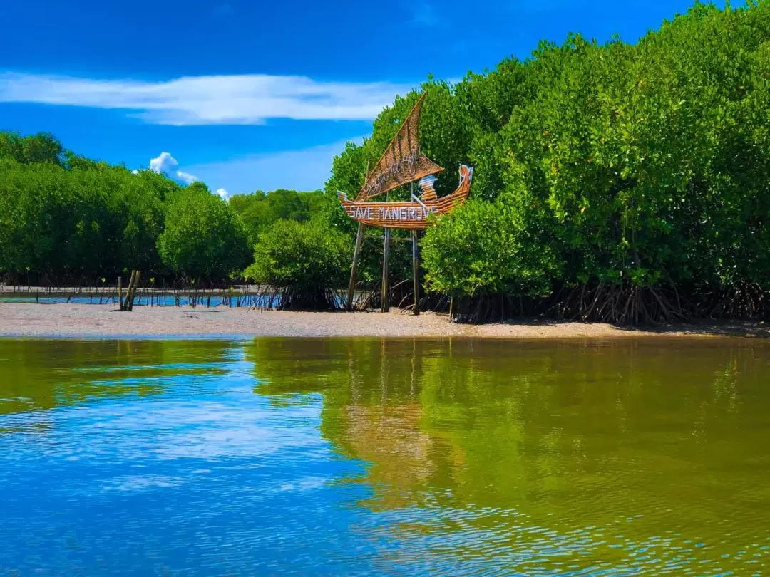 Turtle Island, Glass Bottom Boat and Mangrove Cruise by JTB Indonesia