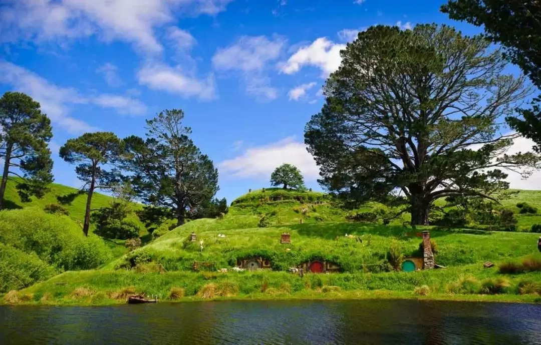 Hobbiton Express Small Group Tour Including Lunch from Auckland