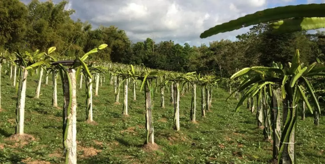 Iloilo Farm Agricultural Day Tour