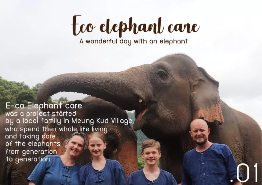 Trek Waterfall, Elephant Sanctuary and Water Rafting in Chiang Mai