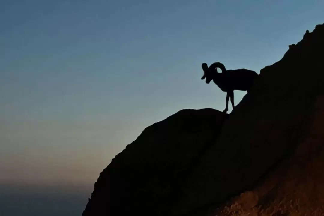 Badlands Sunset and Night Sky Adventure Tour