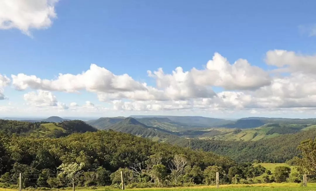 Lamington and O'Reilly's Tour from Gold Coast