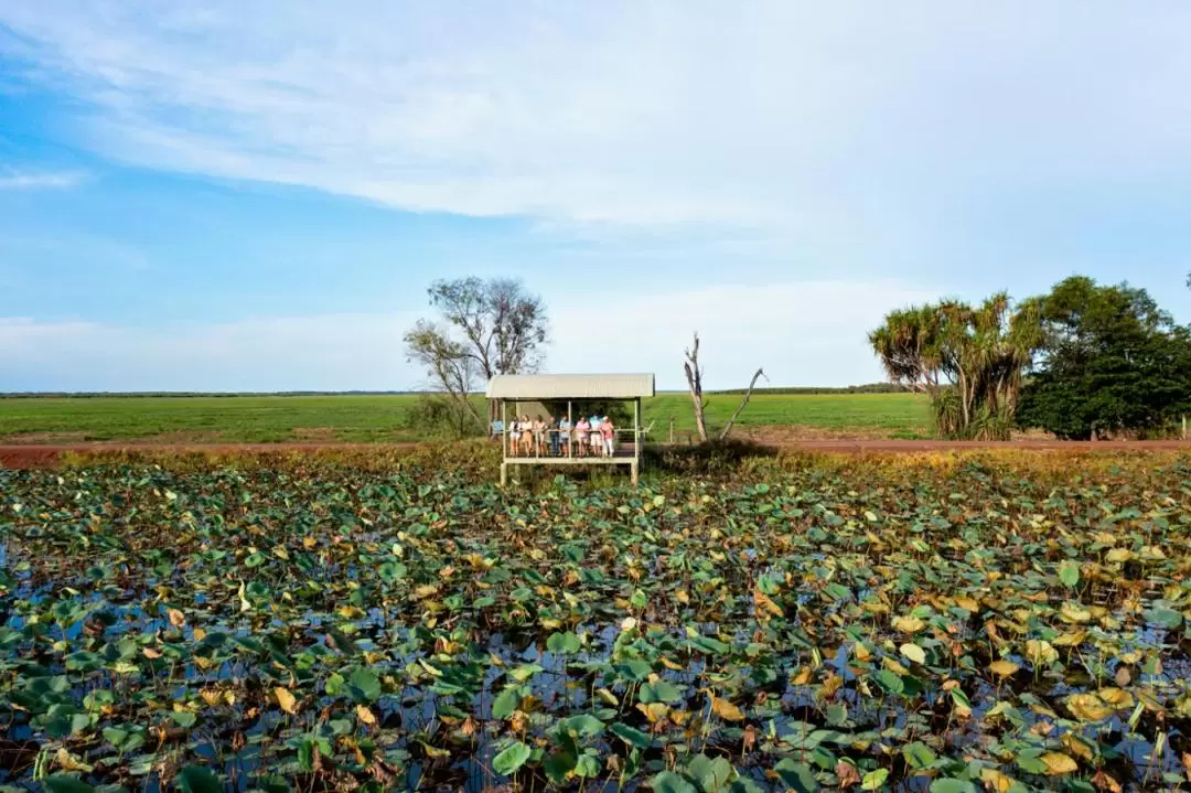 Kakadu National Park Wilderness Escape Guided Tour from Darwin