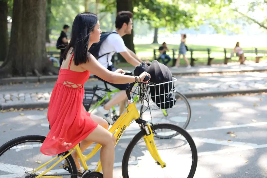 Santa Monica Bike Rentals