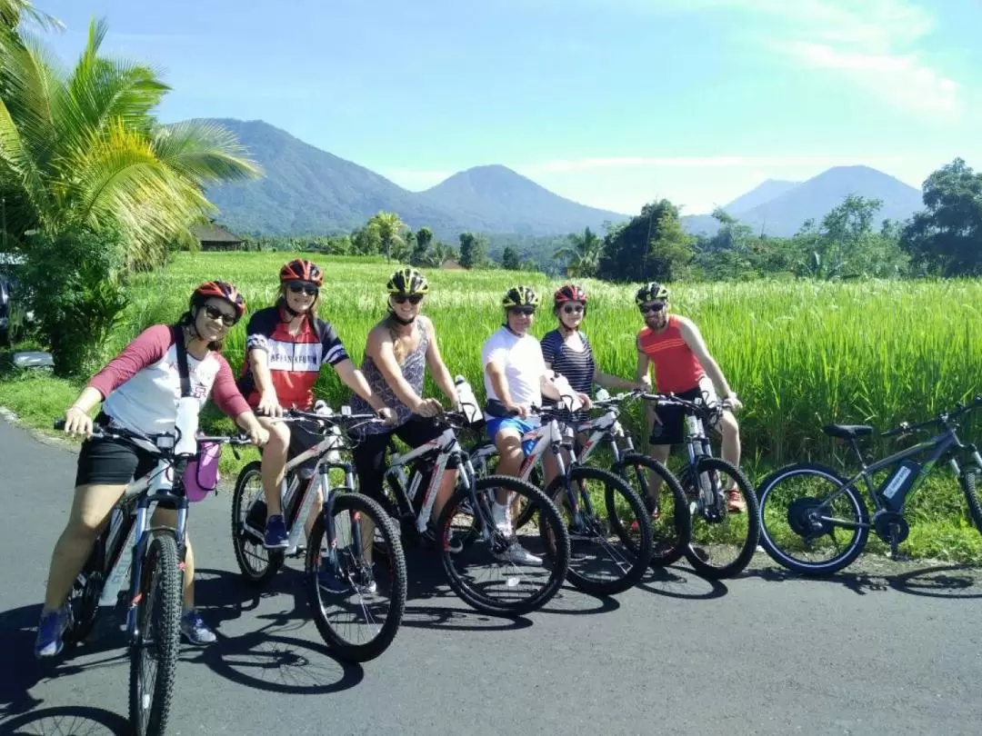 Jatiluwih Rice Terraces Electric Bike Tour in Bali