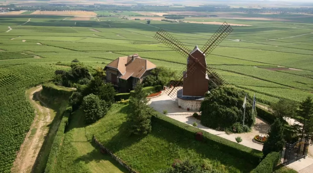 Cellar Visits & Champagne Tastings Day Tour 