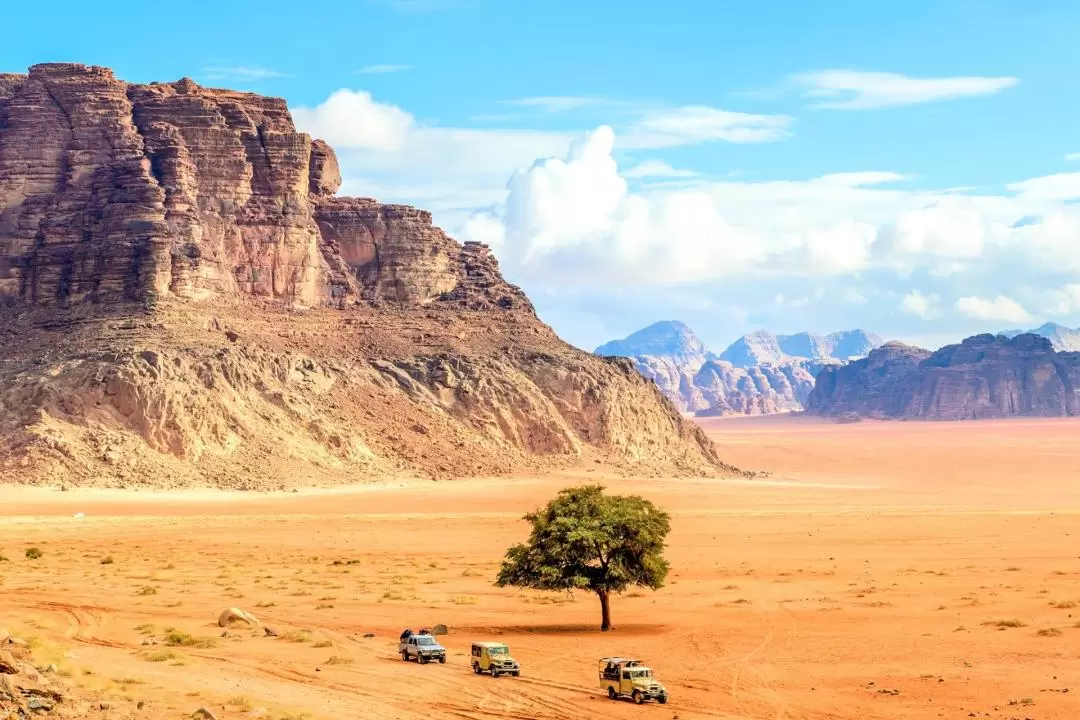 瓦迪拉姆沙漠吉普車之旅（佩特拉出發）