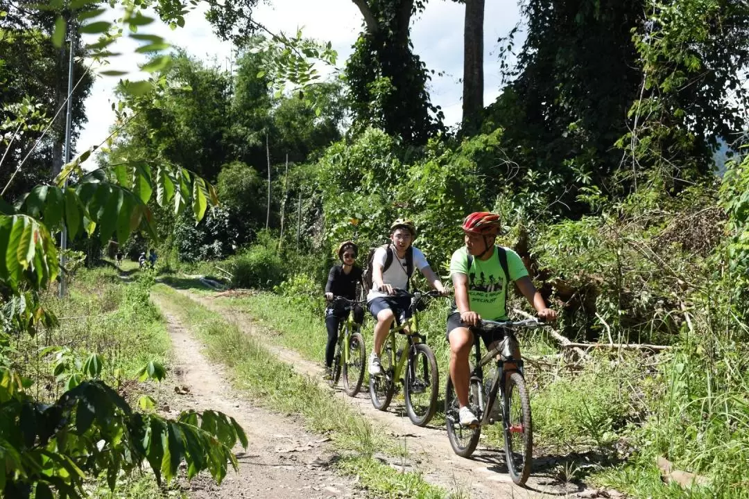 Green Kiulu Fun Cycling and Kiulu Rafting in Sabah