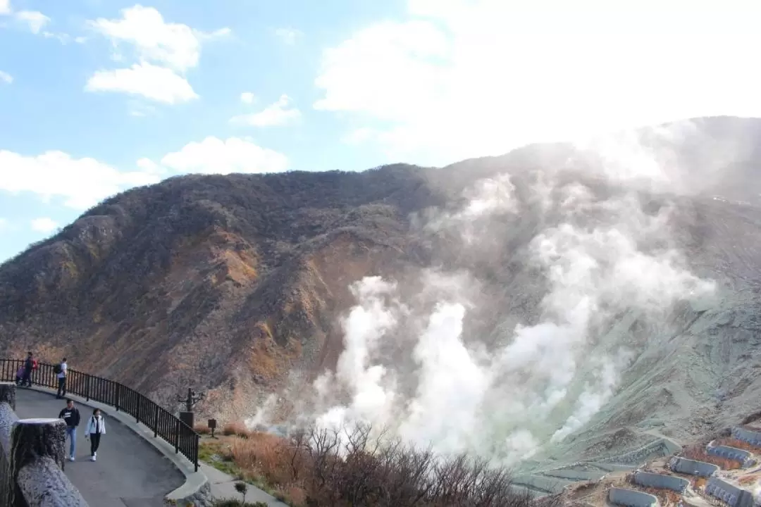 Hakone one-day tour by chartered car (from Tokyo)