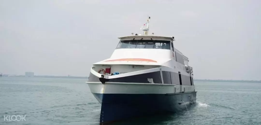 One Way OceanJet Ferry Ticket from Iloilo to Bacolod