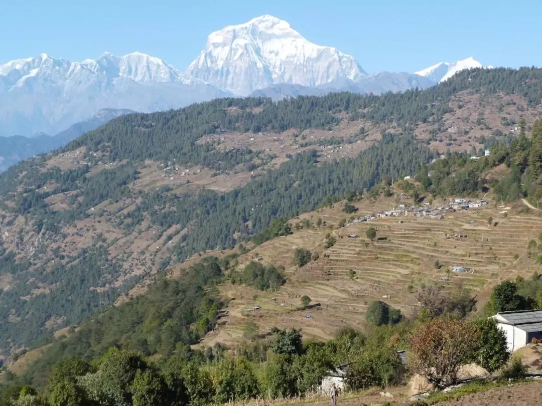 4D3N Ghorepani Poon Hill Trek