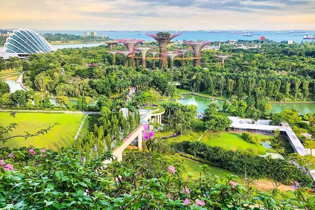 新加坡濱海灣花園 & 濱海灣金沙酒店徒步遊覽（包海鮮午餐/晚餐）