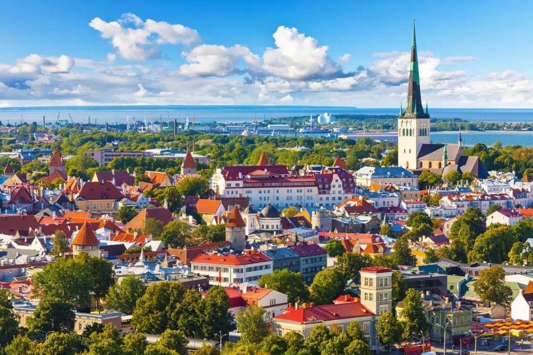 Old Town Walking Tour in Tallinn 