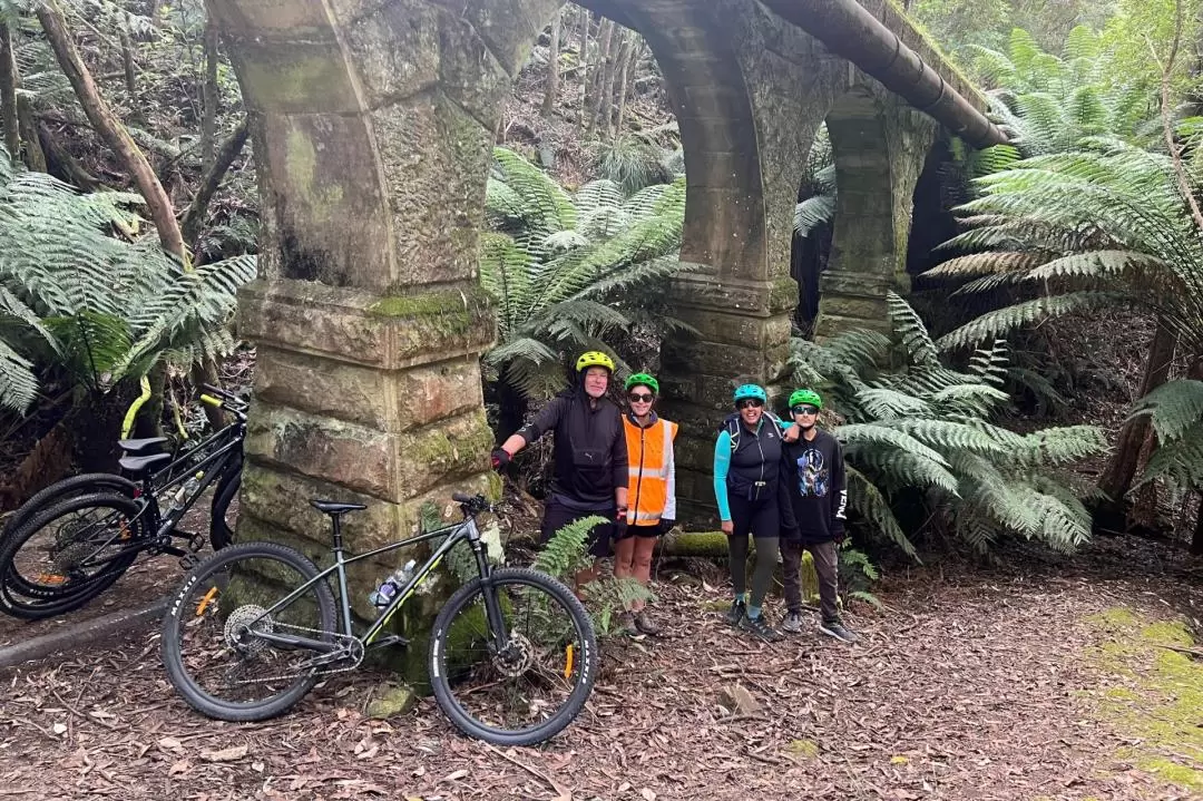 ウェリントン山 サイクリング登山・熱帯雨林アドベンチャーツアー（ホバート）