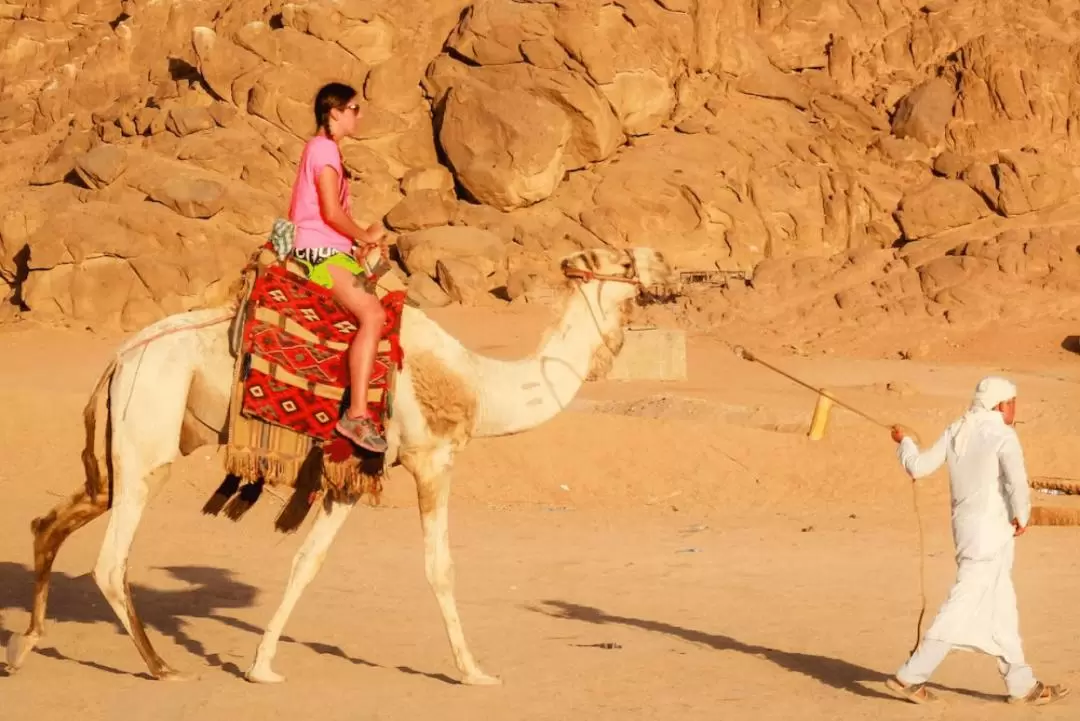 埃及沙漠越野體驗（含騎駱駝）