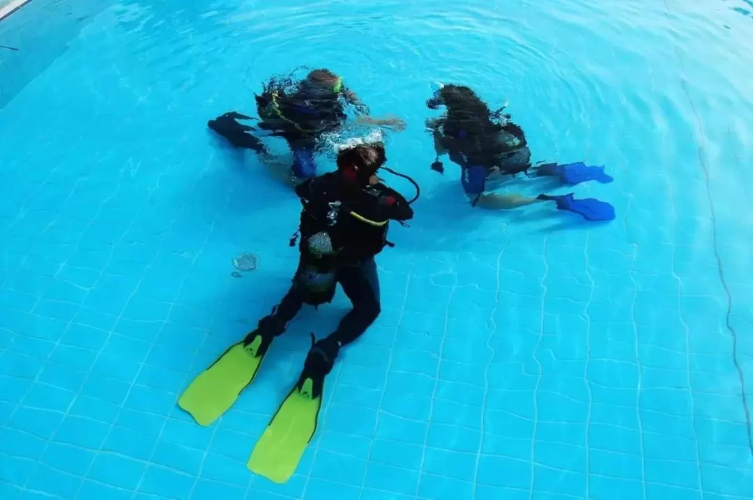 PADI Open Water Diver with PADI 5 Star Dive Center in Komodo