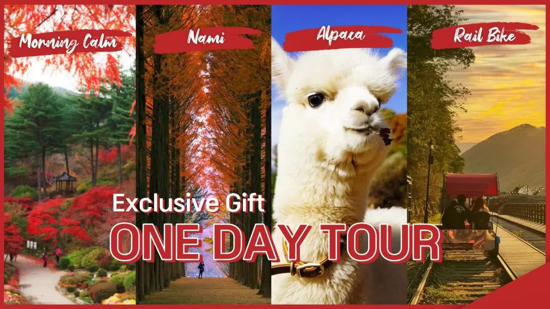 Alpaca+Nami Island+Petite+RailBike+LEGOLAND+Morning Calm Day Tour