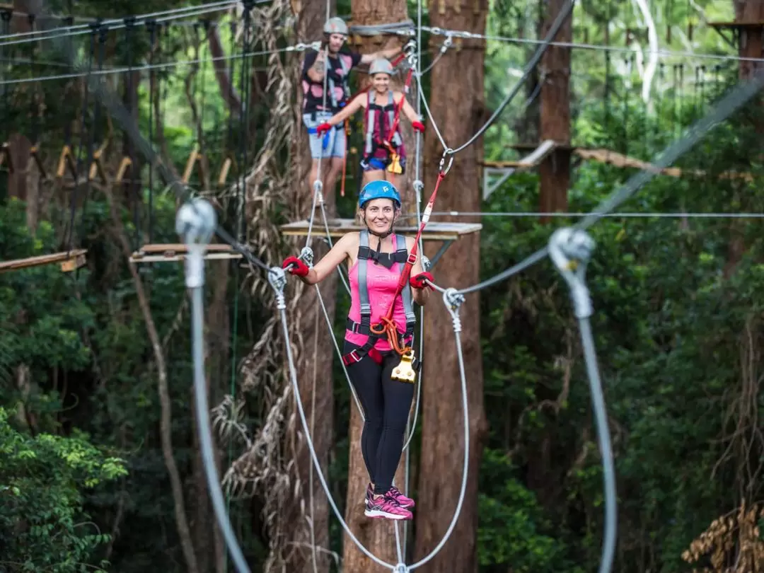 TreeTop Challenge Ticket in Sunshine Coast