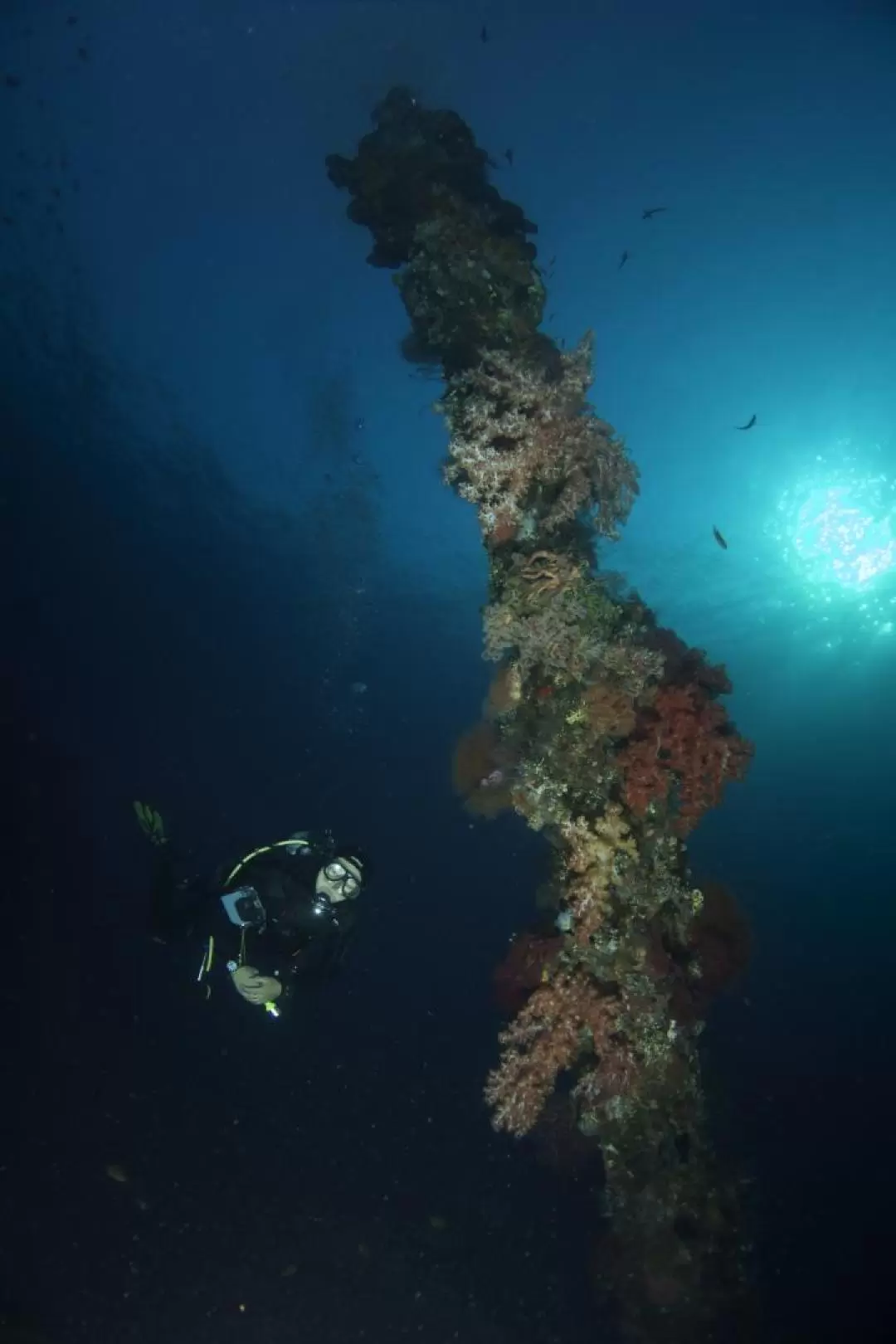 2 dives at USAT Liberty Wreck Tulamben with PADI 5 Star Dive Resort