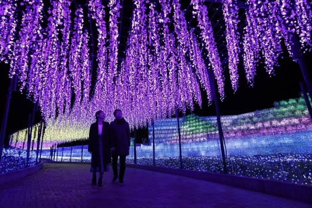 Nagashima Mitsu Outlet & Nabana no Sato Winter Illumination Bus Tour