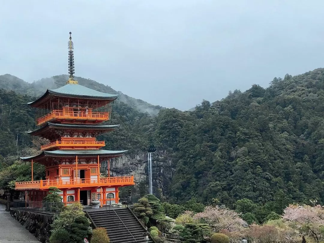 高野山＆熊野古道＆那智瀑布2天1夜之旅（大阪出發）