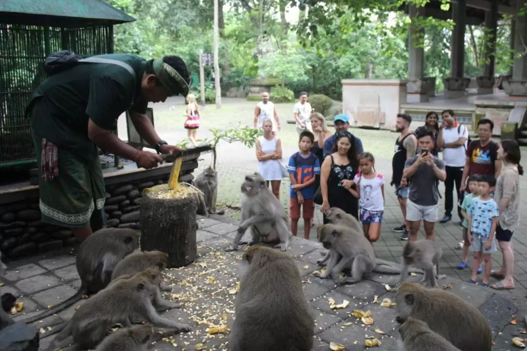 Private Ubud Day Tour with Bali Bird Park Admission Ticket